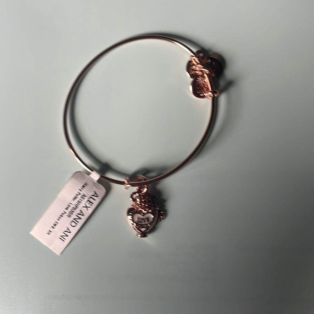 Alex and Ani Harry Potter Love Potion Expandable Bracelet Bangle